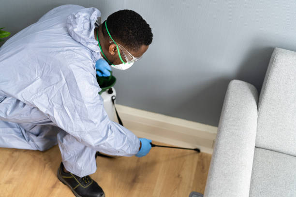 Emergency Pest Control in Lake Mack Forest Hills, FL